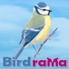 Dreamzer - éleveur d'oiseau Birdrama